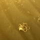 Imagen para el artículo titulado Espagueti marciano: el rover Perseverance de la NASA detecta un objeto que parece de origen humano